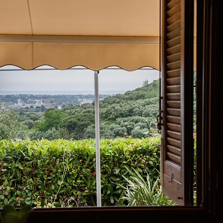 Elena House - Ampio Giardino A Pochi Passi Da Dei Marmi * Vallecchia