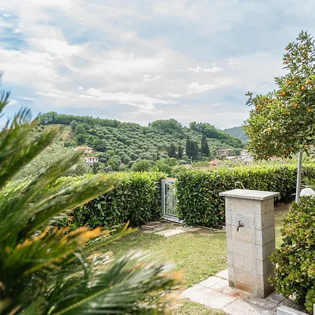 Villa Con Ampio Giardino - Dei Marmi *