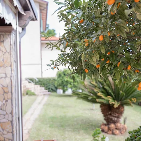 Elena House - Ampio Giardino A Pochi Passi Da Dei Marmi Vallecchia